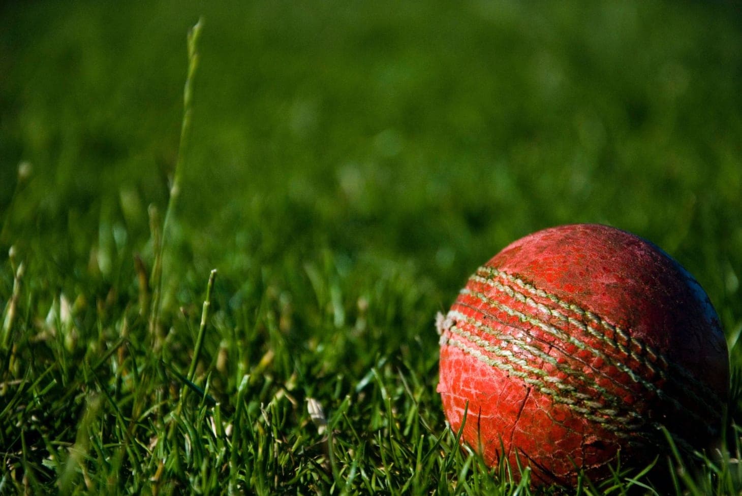 India vs New Zealand | T20I Test Series